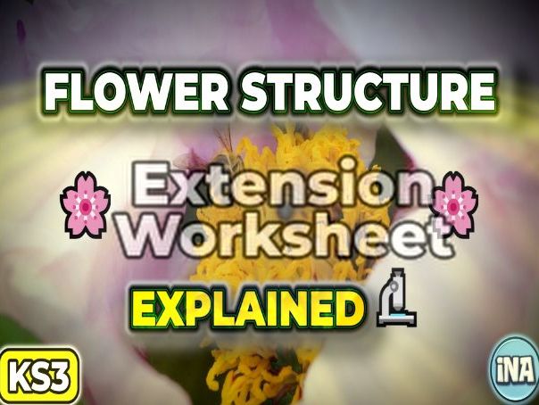 Flower Structure - KS3 Biology Extension Pack