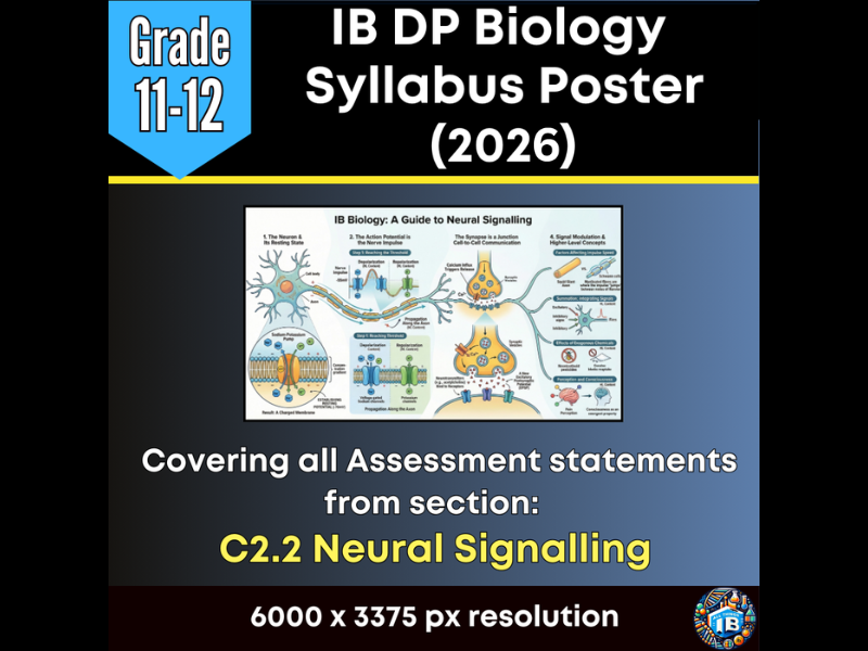 IB DP Biology Digital Infographic Poster: C2.2 Neural Signalling (2026)
