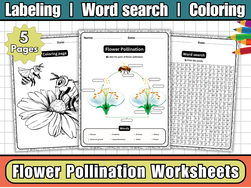 Flower Pollination-Labeling Diagram,Worksheets,Word Search & Coloring | Plant Reproduction Science