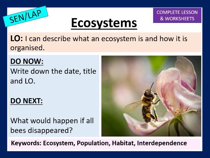 Ecosystems - SEN
