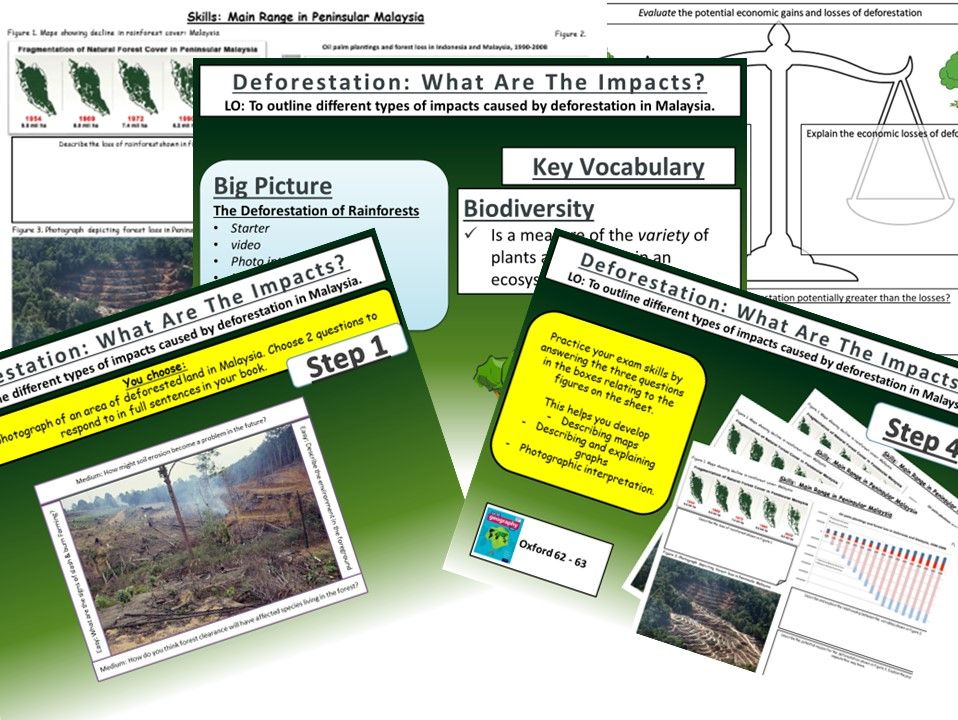 Deforestation in Malaysia: The Impacts