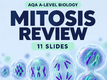 AQA A-Level Biology: Mitosis Revision & Exam Practice PowerPoint