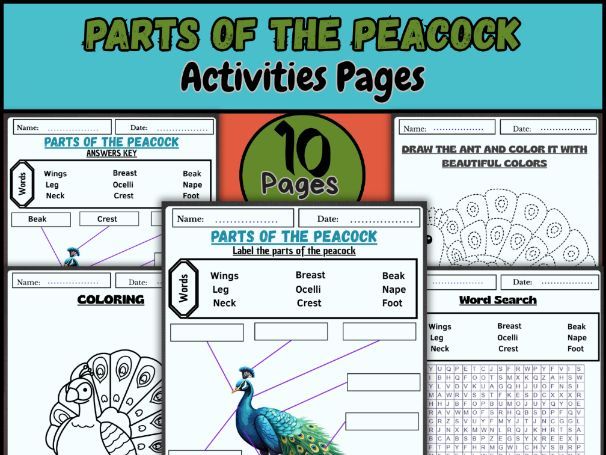 Parts of the Peacock – Labeling, Coloring, and Word Search Activity