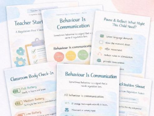 Understanding Behaviour Quickly | Teacher Regulation Toolkit | SEN Classroom Support