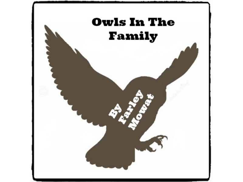 Owls In The Family (Reed Novel Studies) Teaching Resources