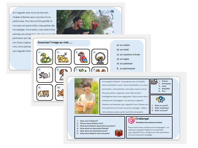 Pets (French) - Complete Unit with Assessment & Mark Scheme (also suitable for cover lessons)