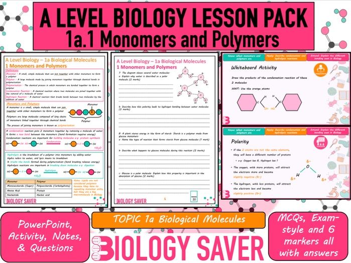 A Level Bio Lesson - 1a.1 Monomers & Polymers