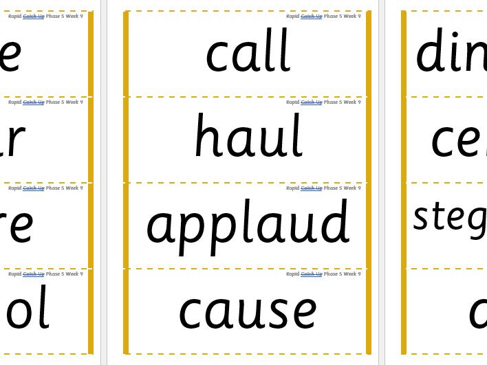 Rapid Catch Up Phase 5 Week 9 (Supports Little Wandle)