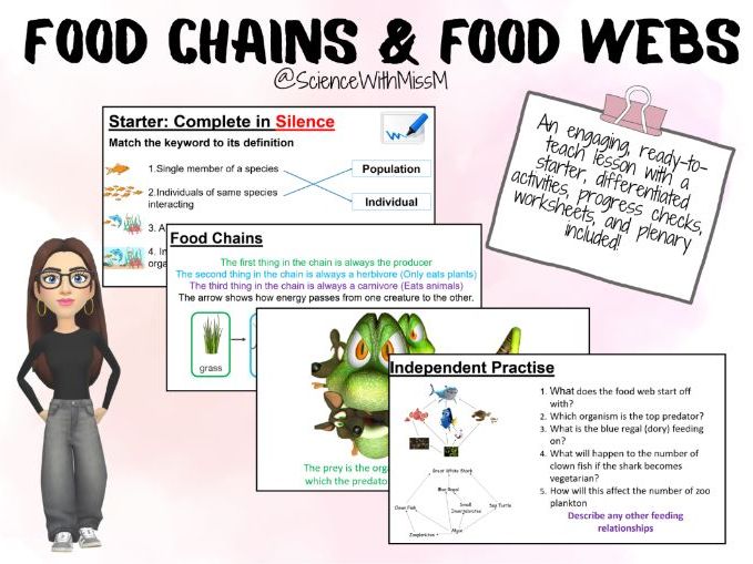 Food Chains and Food Webs KS3