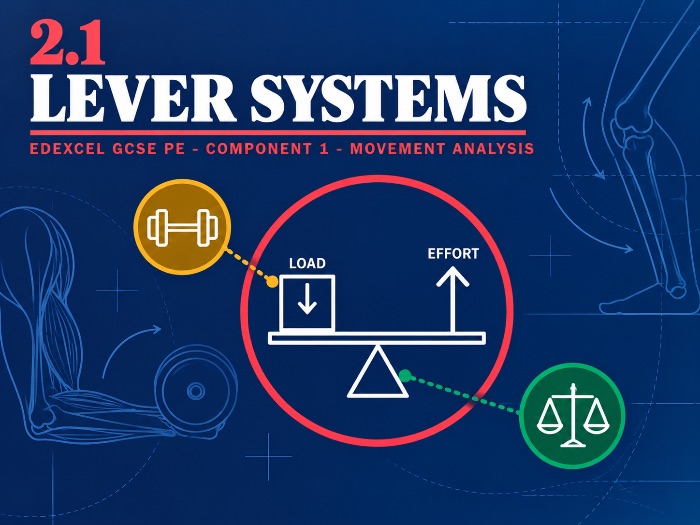 Edexcel GCSE PE 2.1 Lever Systems - Complete Lesson