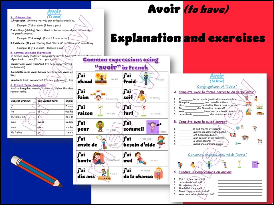 Avoir | To have | French | Explanation | Exercises