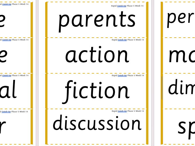 Rapid Catch Up Phase 5 Week 14 (Supports Little Wandle)