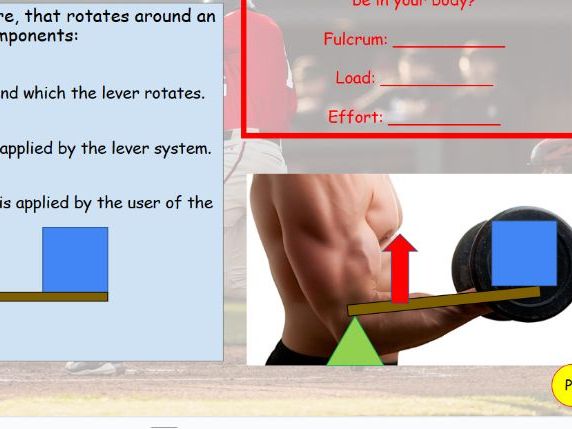 Movement analysis scheme of work - GCSE PE