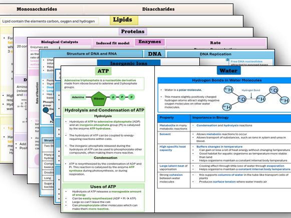 AQA Biological Molecules Revision Sheet