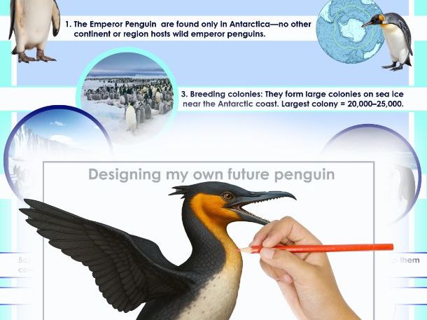 Designing the Animals of the Future – Art Lesson / Week-Long Scheme of Work