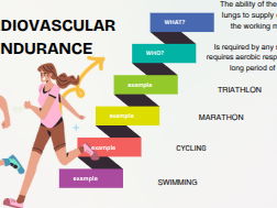 Components of fitness GCSE PE
