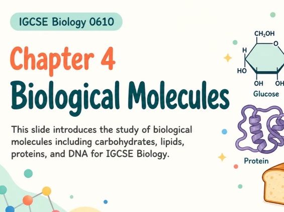 Biological Molecules IGCSE Slides