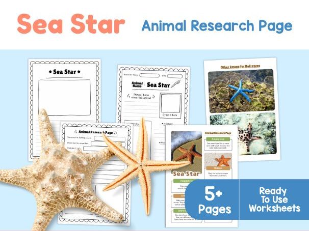 Sea Star Worksheets | Starfish Habitat, Regeneration and Adaptations