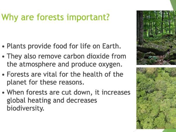 KS3 Photosynthesis PPT and poster task