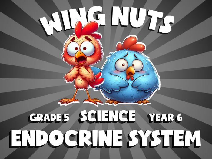 Endocrine System WING NUTS Science Game | No-Prep Year 6 Review Activity