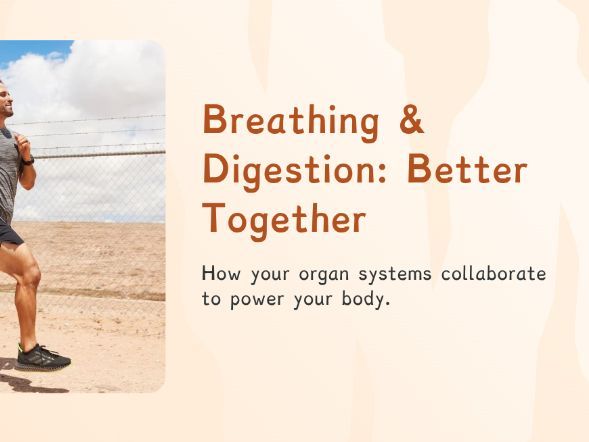 Organisms - Breathing & Digestion (PPT + Worksheet)