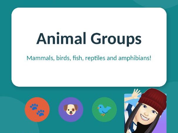 Animal Groups — Year 1 Science