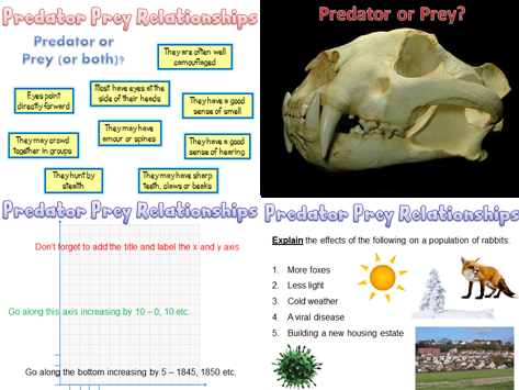 AQA Biology 2016 - Predator Prey Cycles