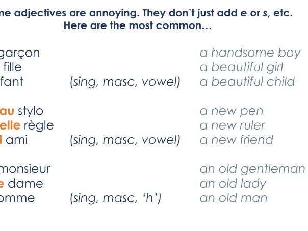 French - Adjectives introduction