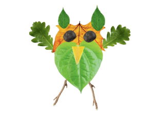 Outdoor Leaf Art: Leaf Owls Arts and Craft Activity