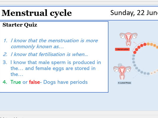Year 7 Menstrual Cycle Lesson