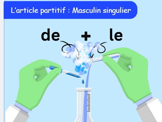 French Partitive+Contracted Articles Posters