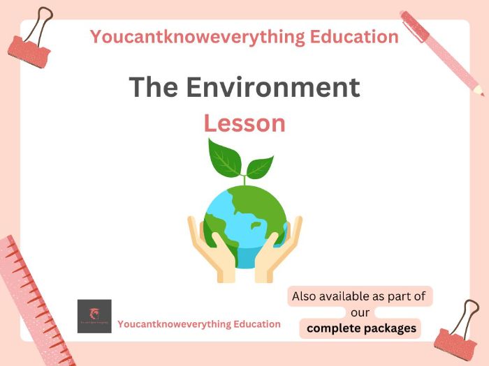 Environmental Issues and how to combat them