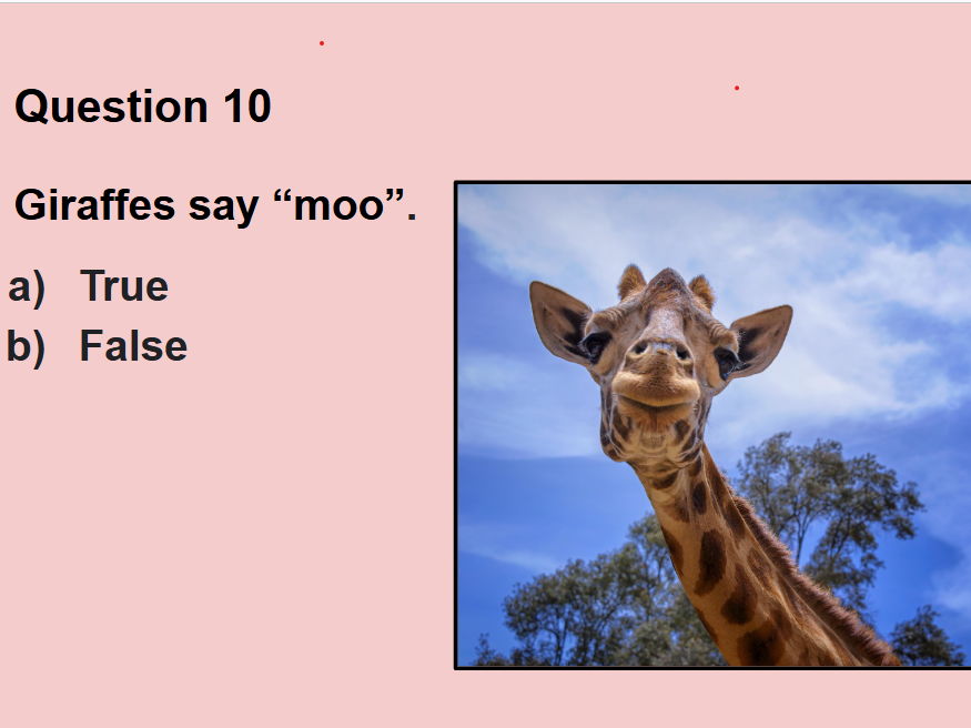 Ten Tutor Time Quizzes: 100 Q & As!