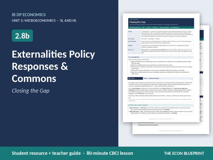 IB Economics 2.8b Externalities Policy Responses & Commons | CBCI