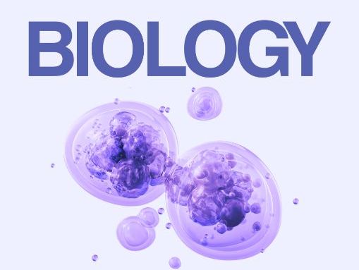 IBDP Biology Command Term Reference Guide (First Assessment 2025)