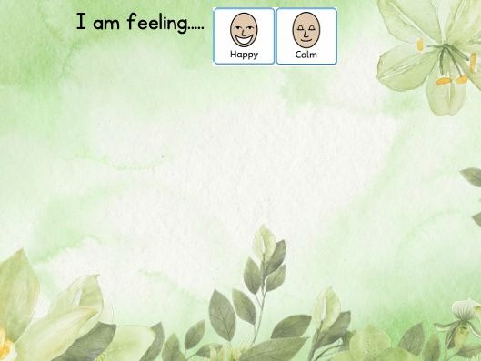 Zones of regulation- EYFS