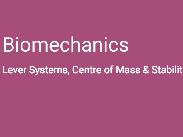 A-Level PE (OCR) Biomechanics - Lever Systems, Centre of Mass & Stability