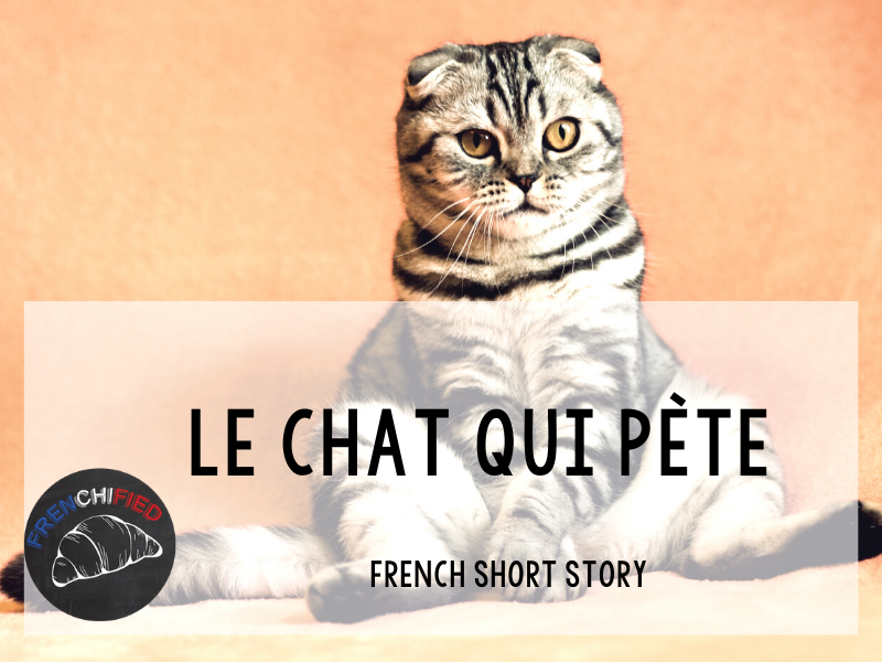 Le Chat Qui Pète a short story for French learners Teaching Resources