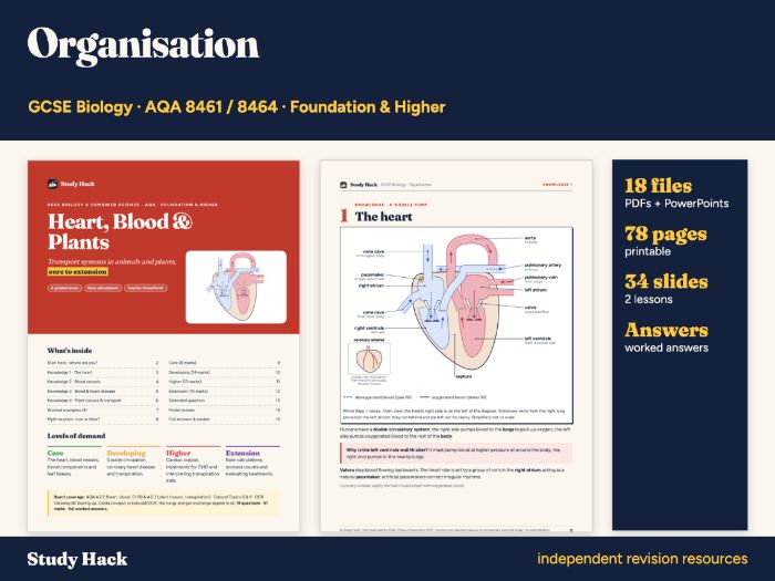 GCSE Biology Organisation Complete Pack (AQA)