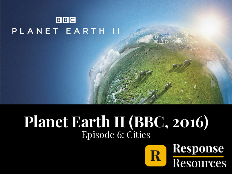 Planet Earth II (BBC, 2016) - Episode 6: Cities - Worksheet & Key