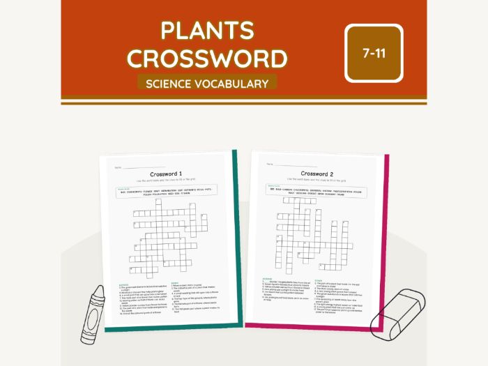 Plants Crossword KS2 Science | 9 Sheets