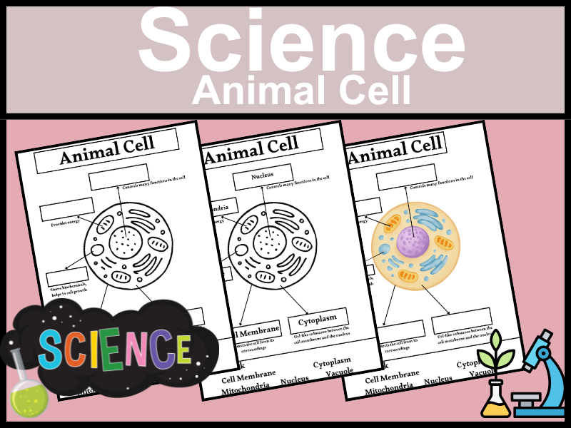 Animal Cell: The Basic Unit of Life!
