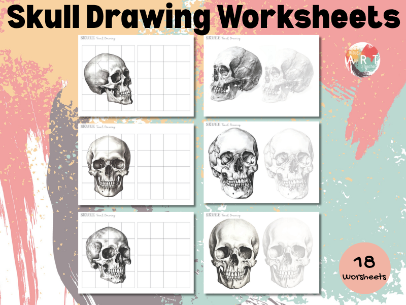 **Human Skull Drawing Worksheets | Realistic Drawing & Grid Practice**