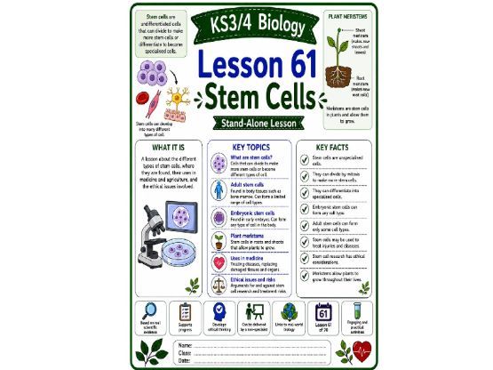 Stem cells cover lesson (L61) Biology