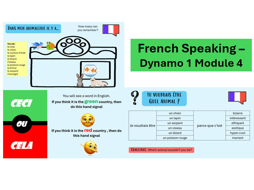 Dynamo 1 Module 4: Speaking lesson