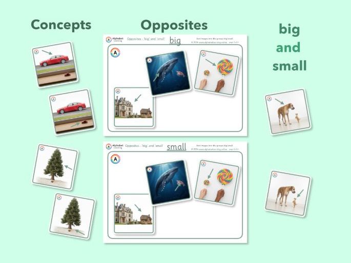 Exploring concepts Opposites Big and small