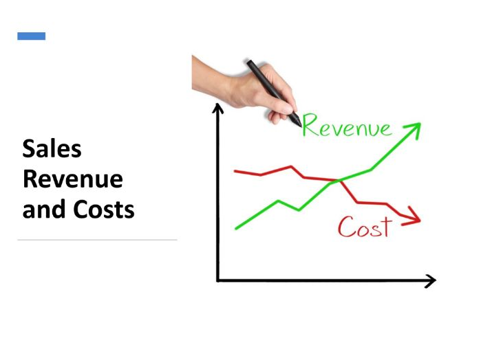 Sales Revenue & Costs (Edexcel A Level Business 2.2.2)