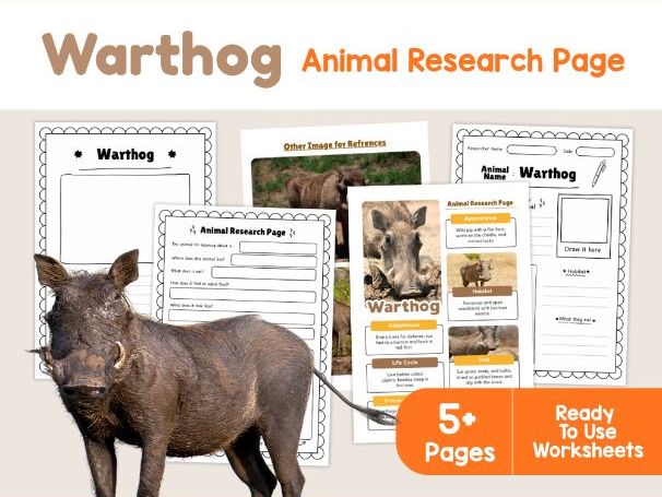 Warthog Worksheets | African Wildlife and Mammal Research