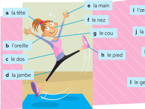 Y8 French Dynamo - Le corps / French body parts