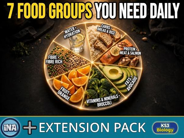 Balanced Diet - KS3 Biology Extension Pack